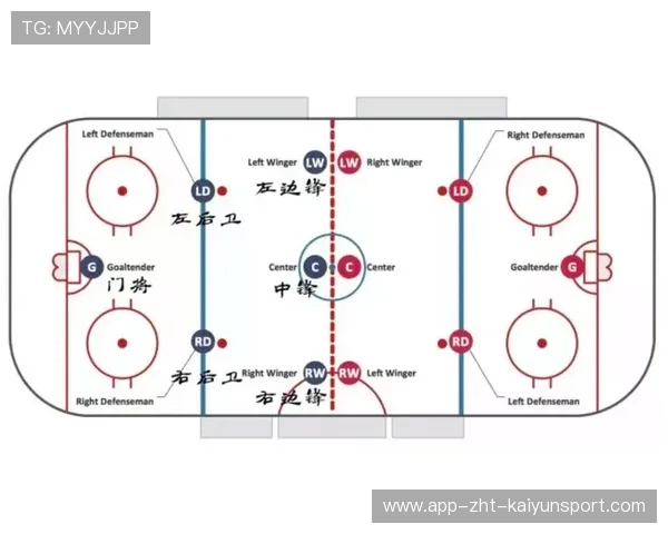 冰球前锋强撞破门,裁判示意有效