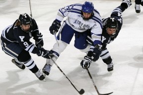 开云中国-数据合规：平台数据隐私与安全合规举措升级公告，数据合规风险